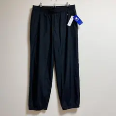 Item thumbnail for item 973d4193-543a-417d-9d8c-152452cdf659