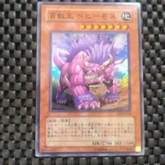 遊戯王 百獣王ベヒーモス 旧アジア版 レリーフ FET-AE014 PSA7 - メルカリ