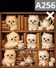 確認用　ポメラニアン　プードル　柴犬　シーズー　パグ