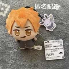 ハイキュー　サンリオ　チビぐるみ　マスコット　ポチャッコ　日向翔陽　匿名配送