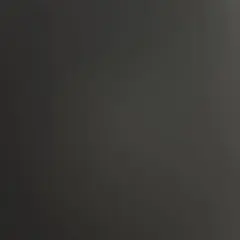 レモネード様専用