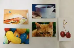 Item thumbnail for item e52464ce-d405-412a-b8ce-06e730bed647