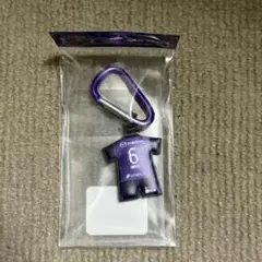 サンフレッチェ広島 ラバーキーホルダー　6 川辺駿【新品、未使用】