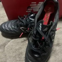 ⚠️セール中⚠️442 V2 PRO HG 2E25.5cm new balanceのサムネイル