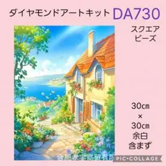 DA730★ダイヤモンドアートキット★スクエアビーズ