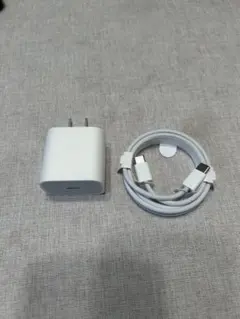 Apple iPad 純正 USB-C充電器とケーブルセット