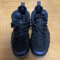 NIKE AIR FOAMPOSITE ONE エッグプラント