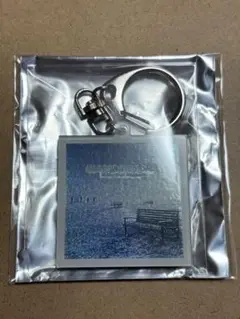 【未開封新品】GLAY Amex 特典 アルバムジャケットキーホルダー 全36個 非売品】フルセットGLAY ×Amex キーホルダー&バッグセット