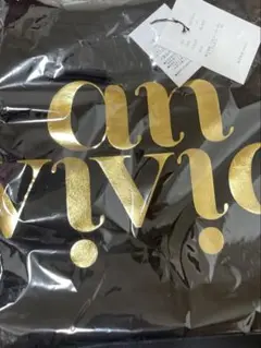 【新品！未開封】anvivid 金箔のロゴTシャツ Free 黒