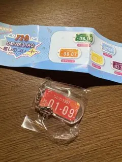 728 ドライバーズタグ 赤 キーホルダー