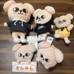 スンミン アイドル