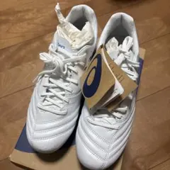 ASICS DS LIGHT X-FLY6ホワイト/グリーン28センチ - メルカリ