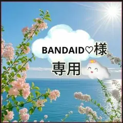 BANDAID♡様 リクエスト 2点 まとめ商品