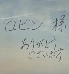 ロビン 様　専用