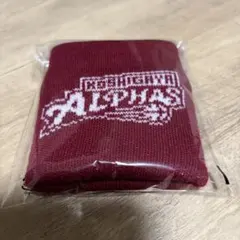 越谷アルファーズ　来場者プレゼント　 リストバンド