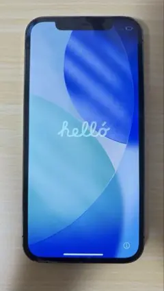 植木屋さん専用 Apple iPhone 12 ブルー 256GB 背面割れ - メルカリ