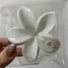 Item thumbnail for item a9dacec0-5fe3-4256-bfd3-f0a7c844c05c