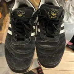 adidas skateboarding