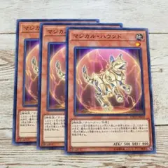 遊戯王　マジカルハウンド　ノーマルレア　ETCO　3枚
