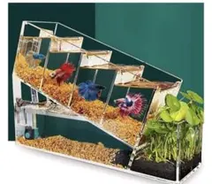 【受注生産】ベタマンション　アクアリウムレイアウト アクアリウム】ベタアパート8部屋完成【水槽紹介】 - YouTube