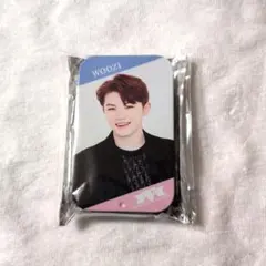 seventeen WOOZI ウジ　缶ケース