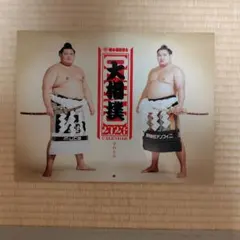 Item thumbnail for item 96848945-896a-47ff-b106-2679eae60cae