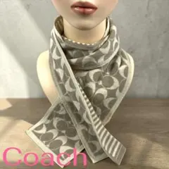 Item thumbnail for item 94924d1d-7c4e-4155-bbda-c212143a2e27