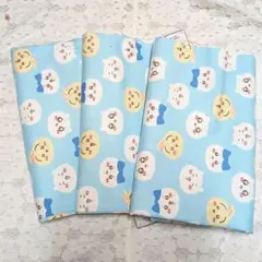 Item thumbnail for item e7480476-5ec0-409e-84f5-c216da7fb882