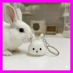 うさぎ 毛玉入れ キーホルダー 立ち耳 透明 シンプル 可愛い2A