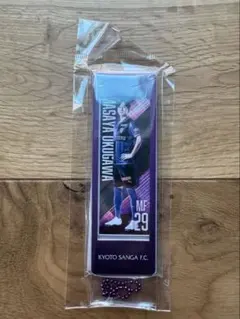 Item thumbnail for item c0528e61-8f2a-4b35-ad81-1e70b1c2de6d