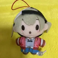 プロセカ ふわぷち ぬいぐるみ マスコット まとめ売り プロジェクトセカイ カラフルステージ！ feat. 初音ミク ふわ