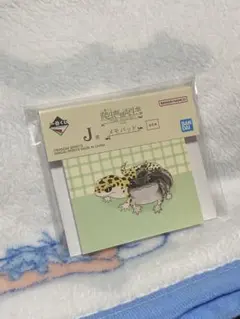 一番くじ 爬虫類＆両生類 J賞 メモパッド
