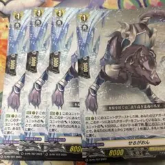 せるがおん 4枚セット