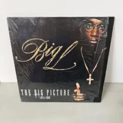 Big L / The Big Picture 2LP レコード