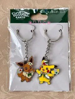 限定 ポケパーク ポケパークカントー ピカチュウ ポケモン