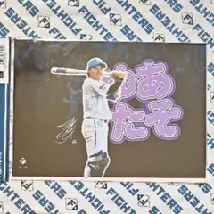 北海道日本ハムファイターズ プレイヤーズピンナップフォトコレクション【田宮裕涼】