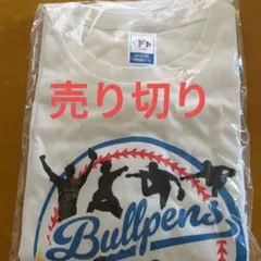 【売り切り】エスコン限定日本ハムファイターズ Tシャツ非売品新品未使用