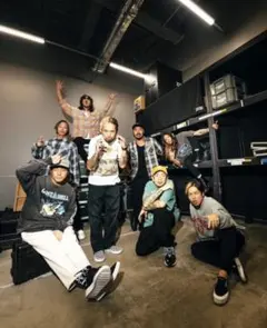 ロンハーマンDickies ディッキーズ　オーバーダイコットンチノjesse愛用