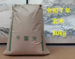リピート割引令和7年愛知県産 あいちのかおり【精米20kg】送料込 お米
