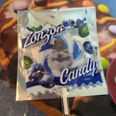 パペットスンスン ランダムキャンディーキーホルダー　ゾンゾン　ポップアップ