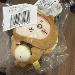 たぬきだもんくじ 古本屋