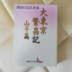 講談社文芸文庫