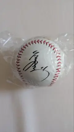楽天イーグルス 岸選手サイン入り野球ボール