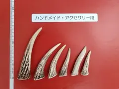 【天然北海道産蝦夷鹿の角】ハンドメイドパーツ②