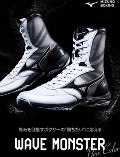2026年最新】MIZUNO ボクシング シューズの人気アイテム - メルカリ