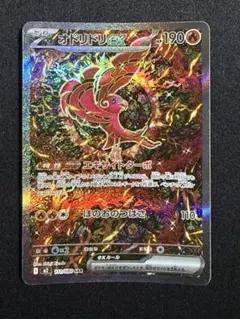 2026年最新】オドリドリex SARの人気アイテム - メルカリ