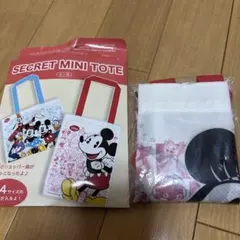 ディズニーストア　シークレット　ミニトート　エコバッグ