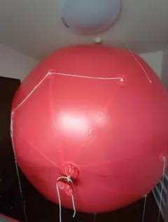 Item thumbnail for item d6dd3f6d-1f99-45db-80d7-ff52c3e4fdff