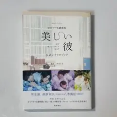 TVドラマ&劇場版 美しい彼 公式シナリオブック
