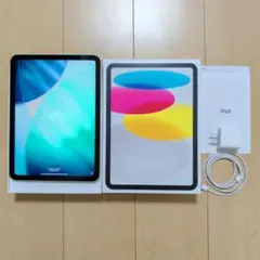 iPad (A16) Wi-Fi + Cellular 128GB シルバー